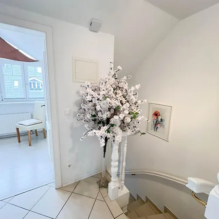 Leyla Og